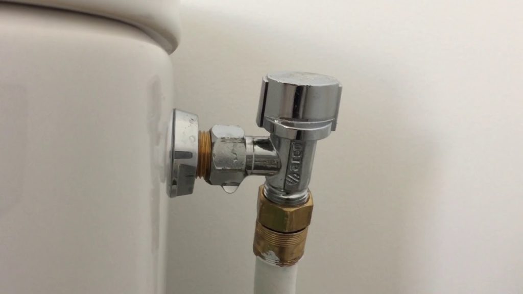 WC fuit