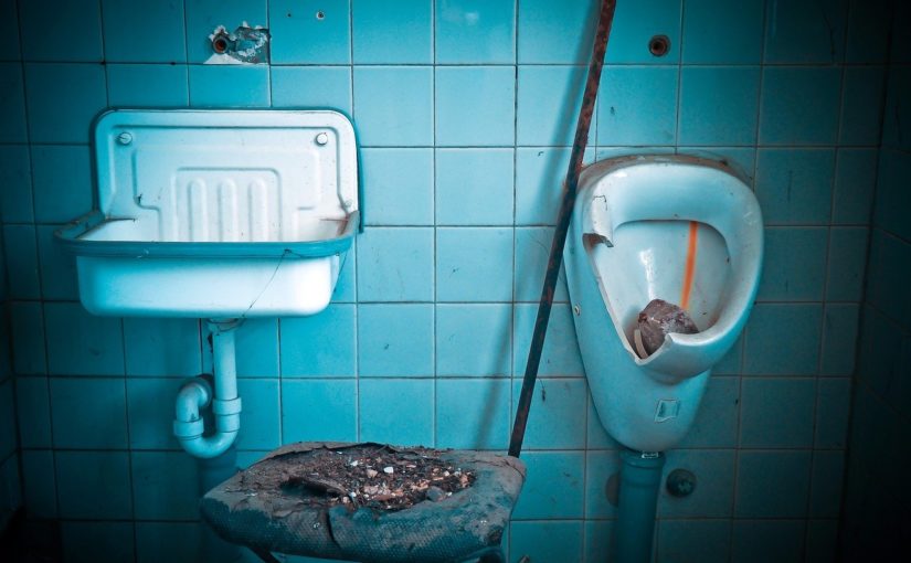 wc fosse septique